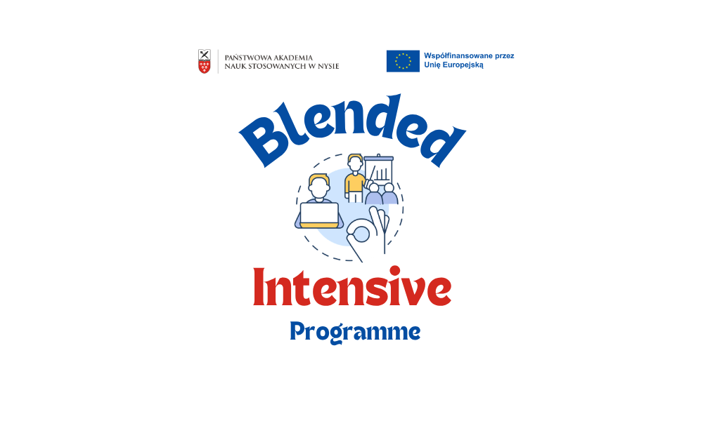 NABÓR NA ORGANIZACJĘ MIESZANYCH PROGRAMÓW INTENSYWNYCH BIP