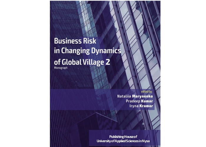 Business Risk in Changing Dynamics of Global Village 2