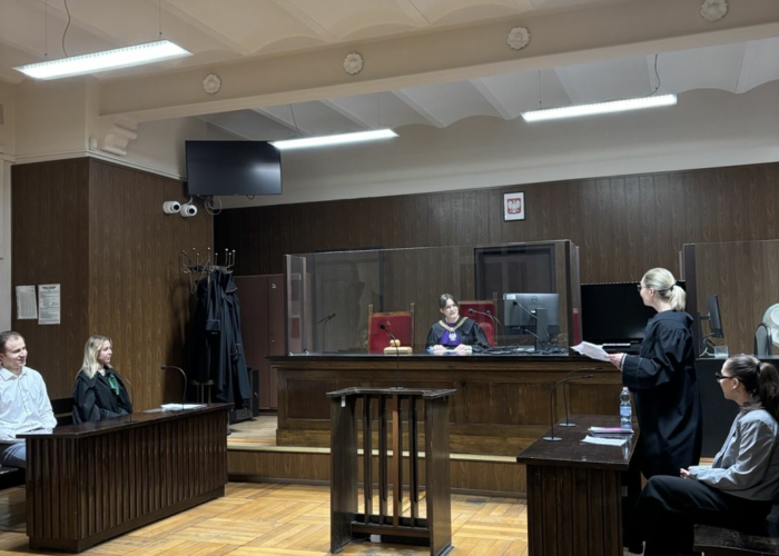 Symulacja rozprawy